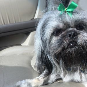 Meet your Posher, Irene